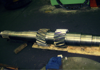 Anti-Chama Petrolonas